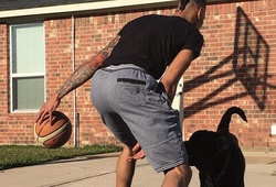 Tin NBA 06/01: Gerald Green tập bóng rổ với chó
